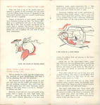 1962-Alice in Lark Land-10-11